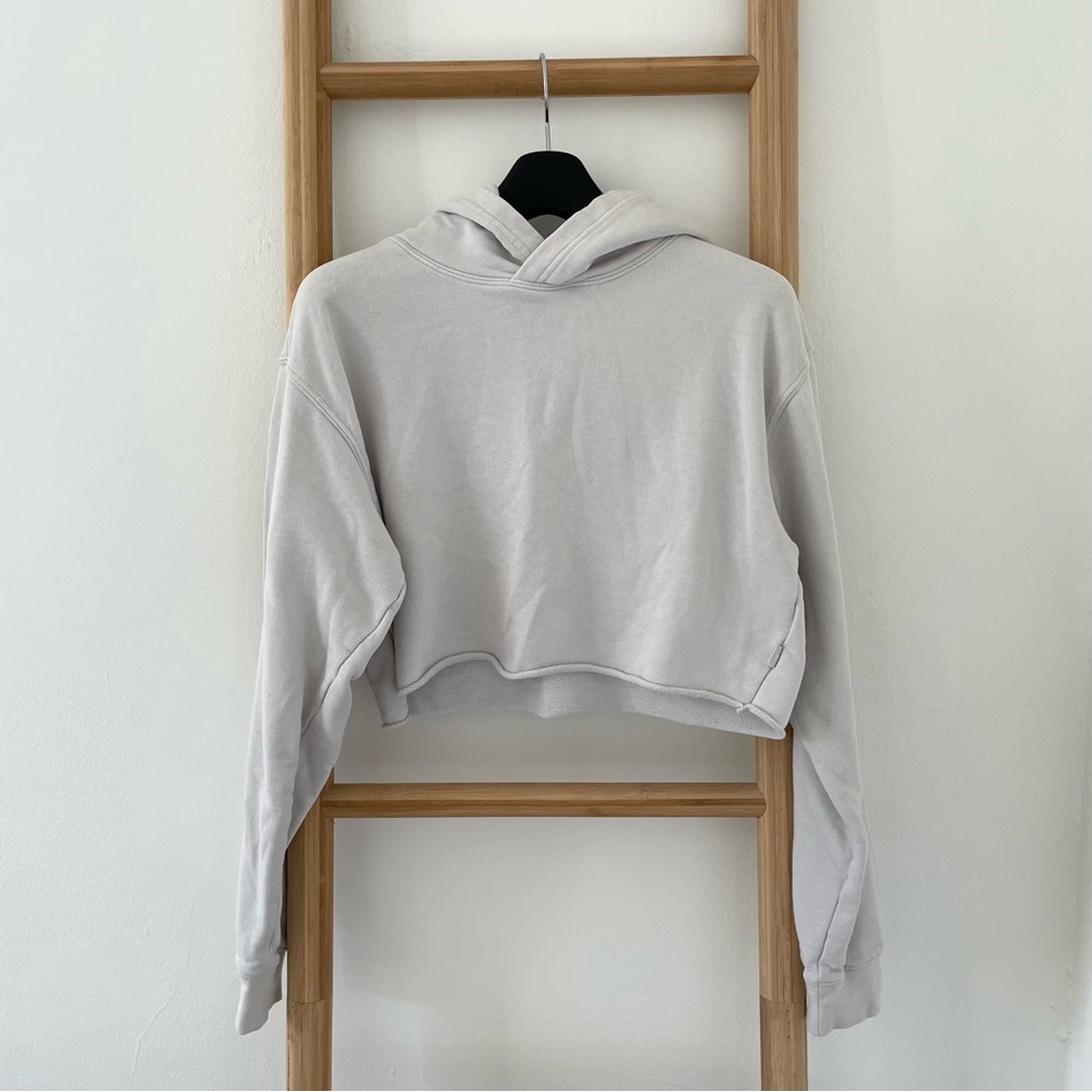 aritzia tna cropped sweatshirt in light grey